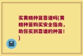 买黄精种苗靠谱吗(黄精种苗购买安全指南，助你买到靠谱的种苗！)