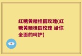 红糖黄精桂圆玫瑰(红糖黄精桂圆玫瑰 给你全面的呵护)