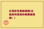 云贵野生黄精视频(云南贵州发现珍稀黄精视频！)