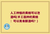 人工种植的黄精可以泡酒吗(手工栽种的黄精：可以用来酿酒吗？)