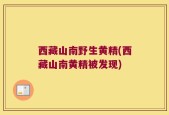 西藏山南野生黄精(西藏山南黄精被发现)