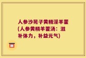 人参沙苑子黄精淫羊藿(人参黄精羊藿汤：滋补体力，补益元气)