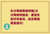 长沙黄精黄精种植(长沙黄精种植业：重视生态环境建设，促进黄精质量提升)