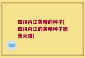 四川内江黄精的种子(四川内江的黄精种子销售火爆)