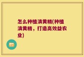 怎么种植滇黄精(种植滇黄精，打造高效益农业)