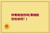 种黄精怕热吗(黄精耐热性如何？)