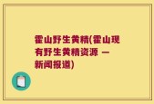 霍山野生黄精(霍山现有野生黄精资源 — 新闻报道)