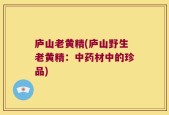 庐山老黄精(庐山野生老黄精：中药材中的珍品)