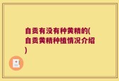 自贡有没有种黄精的(自贡黄精种植情况介绍)