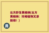 北方野生黄精秧(北方黄精秧：珍稀植物又添新绿！)