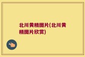 北川黄精图片(北川黄精图片欣赏)