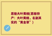 恩施大叶黄精(恩施特产：大叶黄精，名副其实的“黄金草”)