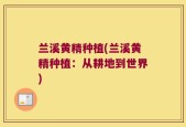 兰溪黄精种植(兰溪黄精种植：从耕地到世界)