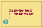 兰花品种黄精(黄精兰：一种优美的兰花品种)