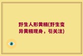 野生人形黄精(野生变异黄精现身，引关注)