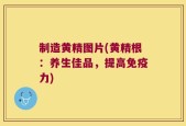 制造黄精图片(黄精根：养生佳品，提高免疫力)