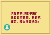 滇野黄精(滇野黄精：又名云南黄精，具有抗疲劳、降血压等功效)