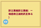 野三黄精野三黄精：一场拯救江湖的药王争斗)