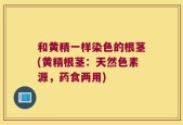 和黄精一样染色的根茎(黄精根茎：天然色素源，药食两用)