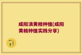 咸阳滇黄精种植(咸阳黄精种植实践分享)