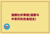 猪腰杜仲黄精(猪腰与中草药的完美结合)