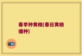 春季种黄精(春日黄精播种)