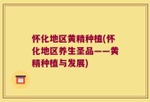 怀化地区黄精种植(怀化地区养生圣品——黄精种植与发展)
