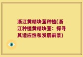 浙江黄精块茎种植(浙江种植黄精块茎：探寻其适应性和发展前景)