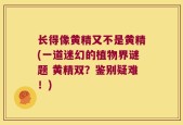 长得像黄精又不是黄精(一道迷幻的植物界谜题 黄精双？鉴别疑难！)