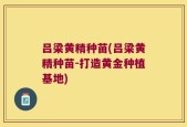 吕梁黄精种苗(吕梁黄精种苗-打造黄金种植基地)