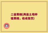 二亩黄精(两亩土地种植黄精，收成斐然)