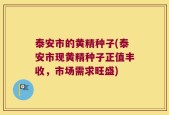 泰安市的黄精种子(泰安市现黄精种子正值丰收，市场需求旺盛)