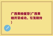 广西黄精催芽(广西黄精开芽成功，引发期待)