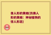 像人形的黄精(仿佛人形的黄精：神秘植物的惊人形态)