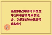 桑葚枸杞黄精玛卡覆盆子(多种植物与果实组合，为你的身体健康带来益处)