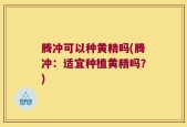 腾冲可以种黄精吗(腾冲：适宜种植黄精吗？)