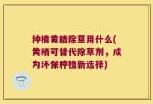 种植黄精除草用什么(黄精可替代除草剂，成为环保种植新选择)