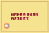 如何种黄精(种植黄精的方法和技巧)