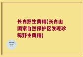 长白野生黄精(长白山国家自然保护区发现珍稀野生黄精)