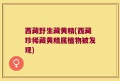 西藏野生藏黄精(西藏珍稀藏黄精属植物被发现)