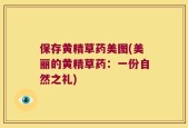 保存黄精草药美图(美丽的黄精草药：一份自然之礼)