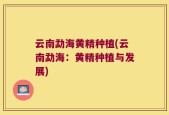 云南勐海黄精种植(云南勐海：黄精种植与发展)