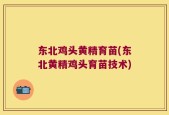 东北鸡头黄精育苗(东北黄精鸡头育苗技术)