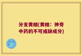 分支黄精(黄精：神奇中药的不可或缺成分)