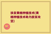 扶贫黄精种植技术(黄精种植技术助力脱贫攻坚)