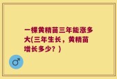 一棵黄精苗三年能涨多大(三年生长，黄精苗增长多少？)