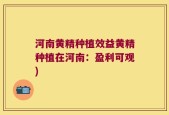 河南黄精种植效益黄精种植在河南：盈利可观)