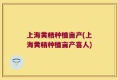 上海黄精种植亩产(上海黄精种植亩产喜人)
