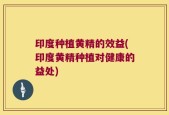 印度种植黄精的效益(印度黄精种植对健康的益处)