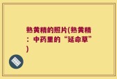 熟黄精的照片(熟黄精：中药里的“延命草”)